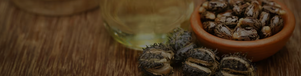How to Use banner showing castor oil seeds on a table and in a mud plate, with a glass bottle of castor oil, highlighting the natural origins of Brit Finds products on desktop
