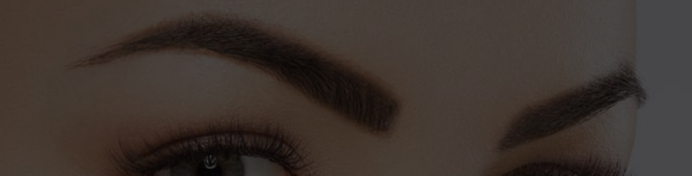 Close-up of two well-shaped, healthy brows on a woman’s face — representing natural eyebrow growth and care for desktop display