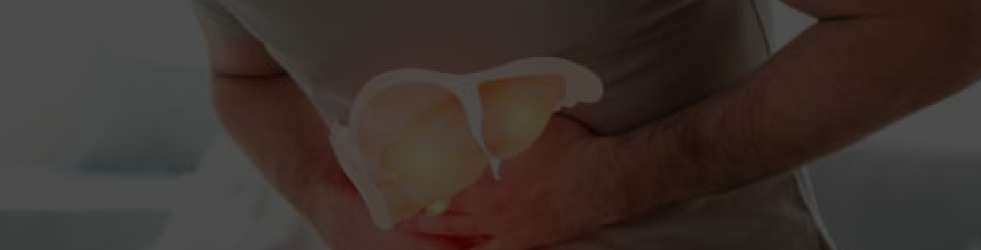 Person holding their liver area with both hands while a pictorial liver graphic appears on top — symbolizing liver pain and internal inflammation for desktop view