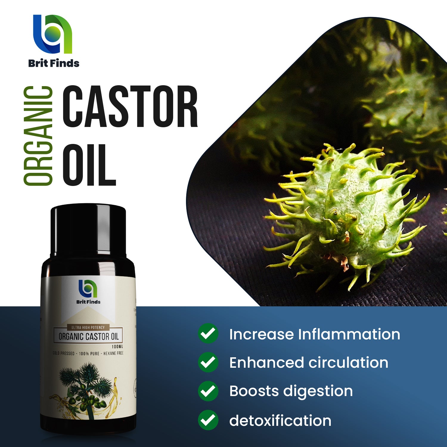 "Brit Finds Organic Castor Oil bottle with green castor beans and benefits listed: increases inflammation, enhances circulation, boosts digestion, and detoxification."