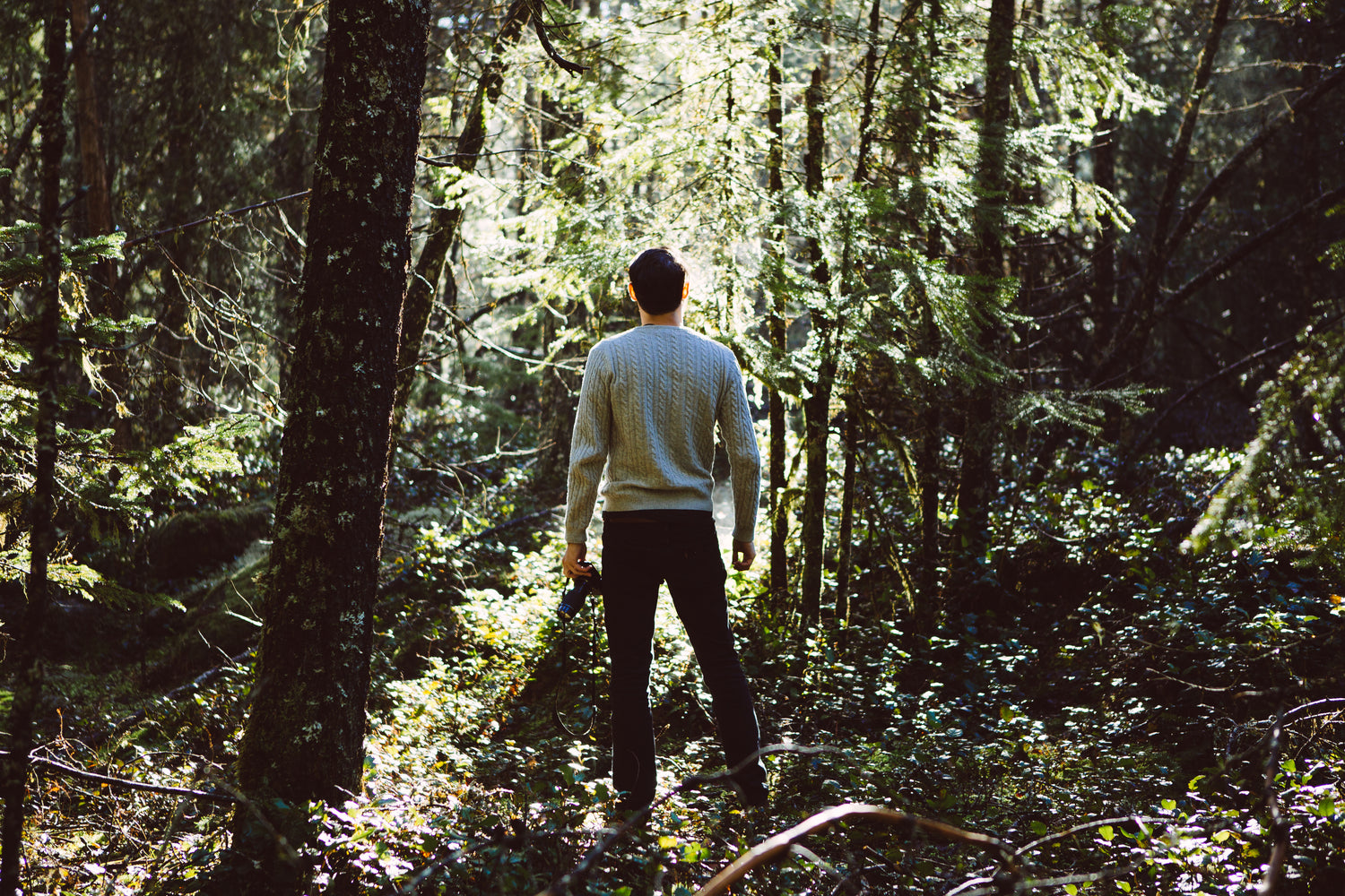 "Person standing in a sunlit forest, capturing nature photography with a camera in hand, wearing a gray sweater."