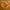 BritFinds castor oil shown in cupped palms with text 'Your Everyday Ritual' at top and icons or text at bottom showing morning and night usage
