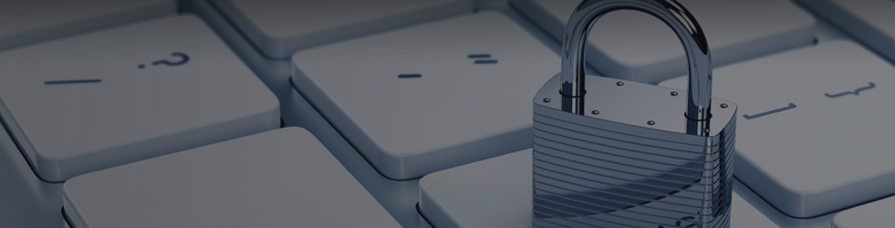 Brit Finds Privacy Policy banner with brand logo, symbolising secure and transparent data handling on desktop