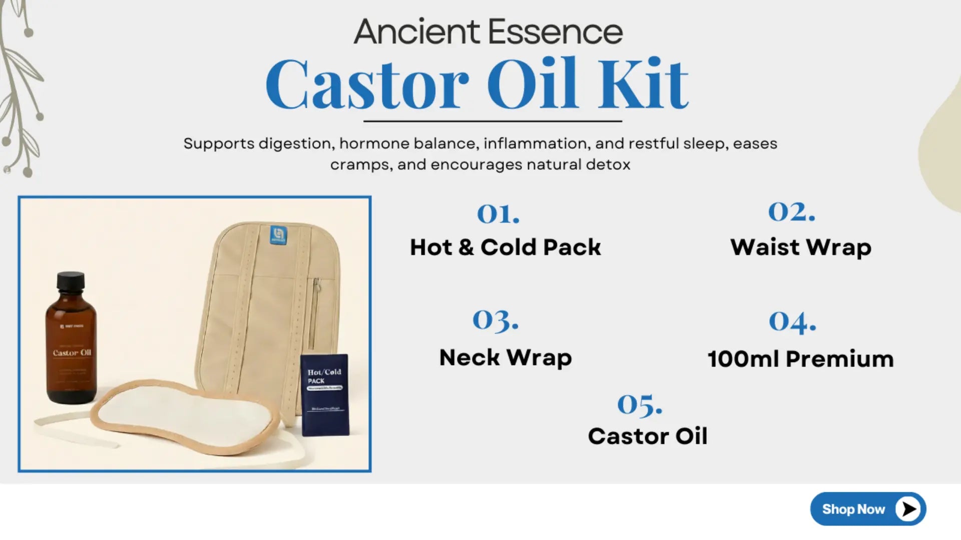 Ancient Essence Castor Oil Kit with product list and images on a white background